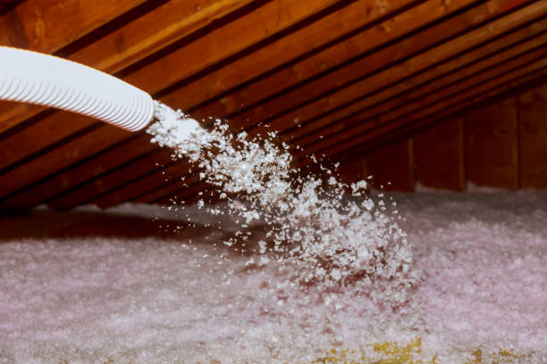 Types of Insulation We Offer in Sand Lake, MI