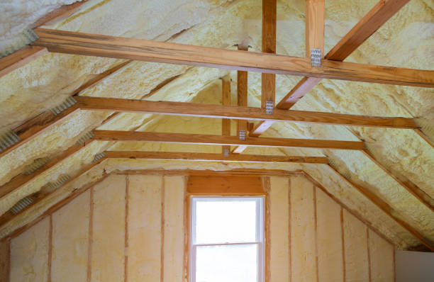 Best Cellulose Insulation in Sand Lake, MI
