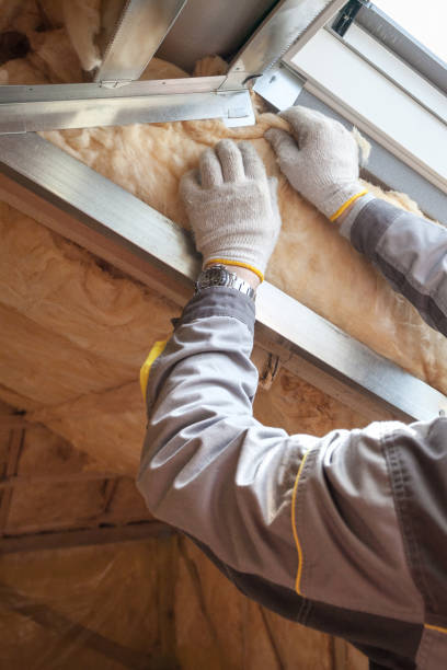 Best Energy Efficiency Insulation in Sand Lake, MI