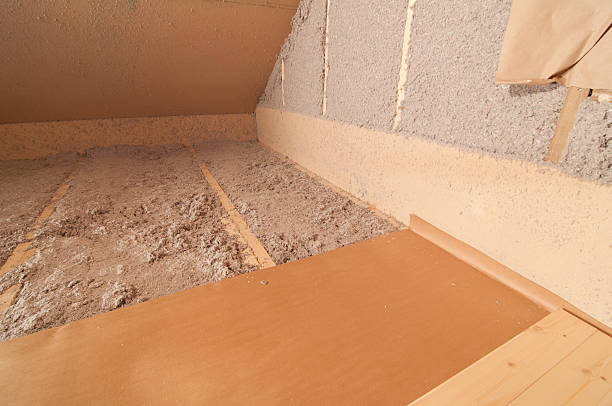 Best Specialized Insulation Services in Sand Lake, MI